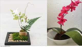 lunes 15 de agosto de 2016
 