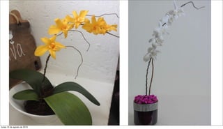 lunes 15 de agosto de 2016
 