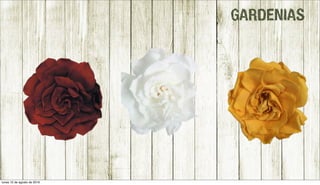 GARDENIAS
lunes 15 de agosto de 2016
 