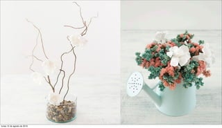 lunes 15 de agosto de 2016
 