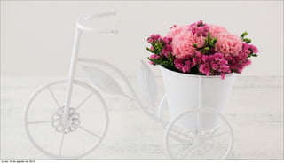 lunes 15 de agosto de 2016
 