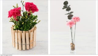 lunes 15 de agosto de 2016
 