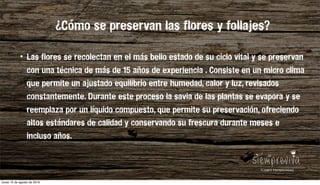 • Las flores se recolectan en el más bello estado de su ciclo vital y se preservan
con una técnica de más de 15 años de experiencia . Consiste en un micro clima
que permite un ajustado equilibrio entre humedad, calor y luz, revisados
constantemente. Durante este proceso la savia de las plantas se evapora y se
reemplaza por un líquido compuesto, que permite su preservación, ofreciendo
altos estándares de calidad y conservando su frescura durante meses e
incluso años.
¿Cómo se preservan las flores y follajes?
lunes 15 de agosto de 2016
 
