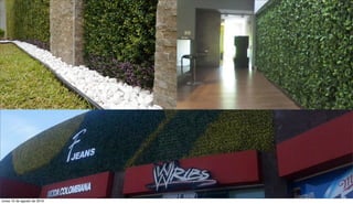 lunes 15 de agosto de 2016
 