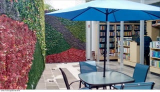 lunes 15 de agosto de 2016
 