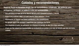 Nuestras flores no necesitan ningún tipo de mantenimiento complicado. Sin embargo, para
protegerlas y prolongar su belleza y color, es recomendable:
• Que permanezcan lejos de la luz directa del sol y de la humedad excesiva y directa.
• Evitar la luz artificial cálida o el calor directo, como ventanas y focos.
• Mantenerlas en lugares con buena ventilación o aire acondicionado.
• No agregar agua a los envases o superficies que contengan las flores.
• Para limpiarles el polvo, es suficiente con dirigirles un secador de aire frío a baja velocidad.
• Al ser una flor natural, es recomendable no manipularlas en exceso y en caso de hacerlo, que sea con sumo
cuidado.
Cuidados y recomendaciones
lunes 15 de agosto de 2016
 