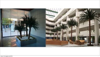 lunes 15 de agosto de 2016
 