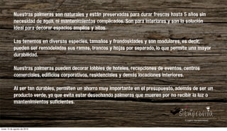 Nuestras palmeras son naturales y están preservadas para durar frescas hasta 5 años sin
necesidad de agua, ni mantenimientos complicados. Son para interiores y son la solución
ideal para decorar espacios amplios y altos.
Las tenemos en diversas especies, tamaños y frondosidades y son modulares, es decir,
pueden ser remodeladas sus ramas, troncos y hojas por separado, lo que permite una mayor
durabilidad.
Nuestras palmeras pueden decorar lobbies de hoteles, recepciones de eventos, centros
comerciales, edificios corporativos, residenciales y demás locaciones interiores.
Al ser tan durables, permiten un ahorro muy importante en el presupuesto, además de ser un
producto verde, ya que evita estar desechando palmeras que mueren por no recibir la luz o
mantenimientos suficientes.
lunes 15 de agosto de 2016
 