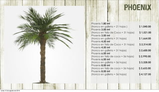 PHOENIX
Phoenix 1.80 mt
(tronco en galleta + 21 hojas ) $ 1,040.00
Phoenix 3.00 mt
(tronco en Tela de Coco + 31 hojas) $ 1,521.00
Phoenix 3.00 mt
(tronco en galleta + 31 hojas) $ 1,664.00
Phoenix 4.50 mt
(tronco en Tela de Coco + 31 hojas) $ 2,314.00
Phoenix 4.50 mt
(tronco en galleta + 31 hojas) $ 2,600.00
Phoenix 6,00 mt
(tronco en Tela de coco + 56 hojas) $ 2,990.00
Phoenix 6,00 mt
(tronco en galleta + 56 hojas) $ 3,328.00
Phoenix 8,00 mt
(tronco en Tela de coco + 56 hojas) $ 3,653.00
Phoenix 8,00 mt
(tronco en galleta + 56 hojas) $ 4,127.50
lunes 15 de agosto de 2016
 