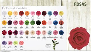 ROSAS
lunes 15 de agosto de 2016
 