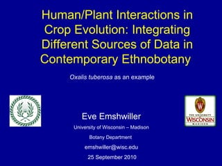 Human/Plant Interactions in Crop Evolution: Integrating Different Sources of Data in Contemporary Ethnobotany  Eve Emshwiller University of Wisconsin – Madison Botany Department   [email_address] 25 September 2010 Oxalis tuberosa  as an example 