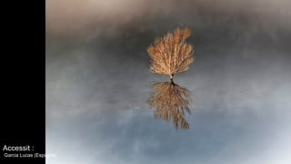 Accessit :
Garcia Lucas (Espagne)
 