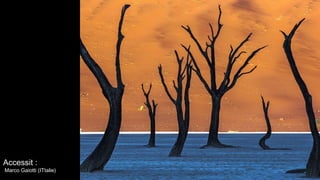 Accessit :
Marco Gaiotti (ITtalie)
 