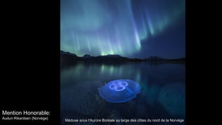 Mention Honorable:
Audun Rikardsen (Norvège)
Méduse sous l'Aurore Boréale au large des côtes du nord de la NorvègeMéduse sous l'Aurore Boréale au large des côtes du nord de la Norvège
 