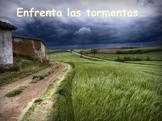 Enfrenta las tormentas… 