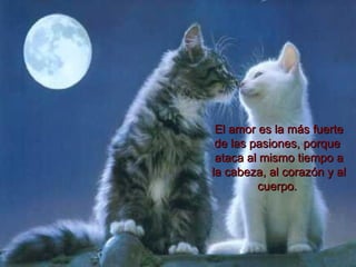 El amor es la más fuerte de las pasiones, porque  ataca al mismo tiempo a la cabeza, al corazón y al cuerpo.   