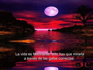 La vida es fascinante, sólo hay que mirarla  a través de las gafas correctas.   