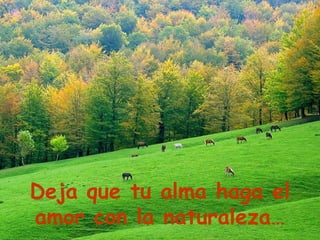 Deja que tu alma haga el amor con la naturaleza… 
