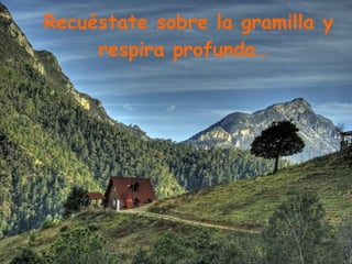 Recuéstate sobre la gramilla y respira profundo…   