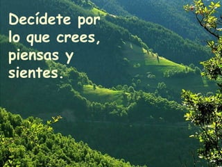 Decídete por lo que crees, piensas y sientes.   