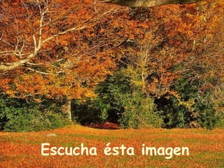 Escucha ésta imagen   
