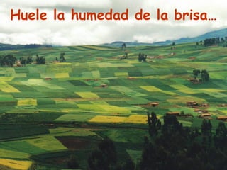 Huele la humedad de la brisa… 