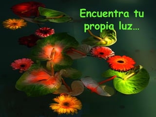 Encuentra tu propia luz… 