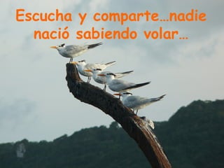 Escucha y comparte…nadie nació sabiendo volar… 