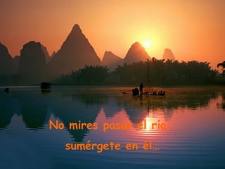 No mires pasar el río,  sumérgete en él… 