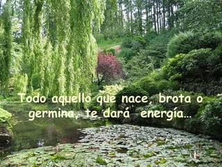 Todo aquello que nace, brota o germina, te dará  energía… 
