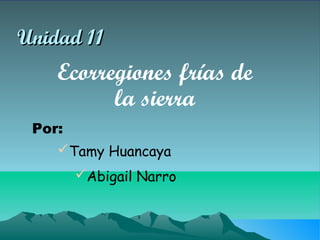 Unidad 11
    Ecorregiones frías de
          la sierra
 Por:
    Tamy Huancaya
      Abigail Narro
 