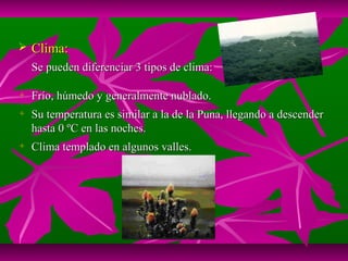    Clima:
    Se pueden diferenciar 3 tipos de clima:

   Frío, húmedo y generalmente nublado.
   Su temperatura es similar a la de la Puna, llegando a descender
    hasta 0 ºC en las noches.
   Clima templado en algunos valles.
 