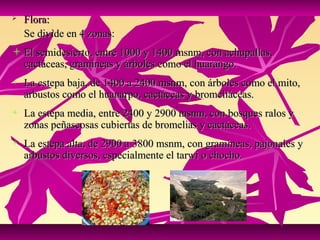    Flora:
    Se divide en 4 zonas:
 El semidesierto, entre 1000 y 1400 msnm, con achupallas,
    cactáceas, gramíneas y árboles como el huarango.
   La estepa baja, de 1400 a 2400 msnm, con árboles como el mito,
    arbustos como el huanarpo, cactáceas y bromeliáceas.
   La estepa media, entre 2400 y 2900 msnm, con bosques ralos y
    zonas peñascosas cubiertas de bromelias y cactáceas.
   La estepa alta, de 2900 a 3800 msnm, con gramíneas, pajonales y
    arbustos diversos, especialmente el tarwi o chocho.
 