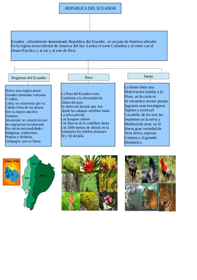 Mapa Conceptual del Ecuador
