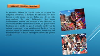 La verdadera belleza de Otavalo reside en su gente, los
indígenas Otavaleños. El mercado de artesanías que hace
famosa a esta ciudad es, sin dudas, uno de los más
espectaculares de toda Sudamérica. Dos cosas
fundamentales vuelven tan atractivo a este Mercado: su
excepcional oferta y su relevancia cultural. Lo que lo vuelve
fascinante es el modo en que el visitante puede vivir la
cultura ecuatoriana y las tradiciones de la sierra en un
mercado donde las generaciones actuales interactúan del
mismo modo que lo hacían en la época histórica en que fue
creado
MERCADO INDIGENA OTAVALO
 