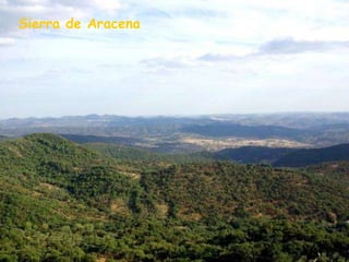 Sierra de Aracena 