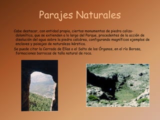 Parajes Naturales    Cabe destacar, con entidad propia, ciertos monumentos de piedra calizo-dolomítica, que se extienden a lo largo del Parque, procedentes de la acción de disolución del agua sobre la piedra calcárea, configurando magníficos ejemplos de enclaves y paisajes de naturaleza kárstica.Se puede citar la Cerrada de Elías o el Salto de los Órganos, en el río Borosa, formaciones barrocas de talla natural de roca. 