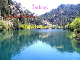 Índice: <br />-Sierra de Cazorla…<br />                   - Parajes Naturales…<br />-Flora…<br />                         ...
