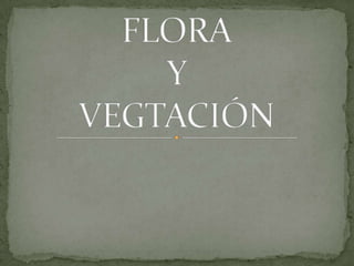 FLORA Y VEGTACIÓN