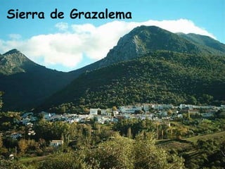 Sierra de Grazalema 