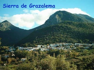 Sierra de Grazalema 