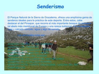 Senderismo El Parque Natural de la Sierra de Grazalema, ofrece una amplísima gama de senderos ideales para la práctica de este deporte. Entre estos, cabe destacar el del Pinsapar, que recorre el más importante bosque de pinsapos (el abeto más meridional de Europa y una rareza botánica). Es aconsejable ropa y calzado cómodo, agua y algo de comida.  Las principales rutas son: SENDERO DEL SALTO DEL CABRERO SENDERO DEL  PINSAPAR   SENDERO DE LA GARGANTA VERDE SENDERO DEL LLANO DEL REVÉS SENDERO DEL RÍO DEL BOSQUE SENDERO DE LOS LLANOS DEL REPUBLICANO SENDERO DE LA CALZADA ROMANA SENDERO HOTEL FUERTE GRAZALEMA - LAGUNA DEL RIO  CAMPOBUCHE  