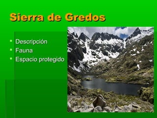 Sierra de Gredos

   Descripción
   Fauna
   Espacio protegido
 