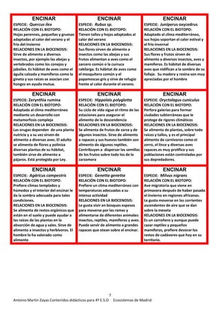 7
Antonio Martín Zayas Contenidos didácticos para 4º E.S.O Ecosistemas de Madrid
ENCINAR
ESPECIE: Quercus ilex
RELACIÓN CON EL BIOTOPO:
Hojas perennes, pequeñas y gruesas
adaptadas al calor del verano y el
frío del invierno
RELACIONES EN LA BIOCENOSIS:
Sirve de alimento a diversos
insectos, por ejemplo las abejas y
vertebrados como los conejos y
jabalíes. Es hábitat de aves como el
águila calzada y mamíferos como la
gineta y sus raíces se asocian con
hongos en ayuda mutua.
ENCINAR
ESPECIE: Rubus sp.
RELACIÓN CON EL BIOTOPO:
Tienen tallos y hojas adaptados al
calor del verano
RELACIONES EN LA BIOCENOSIS:
Sus flores sirven de alimento a
insectos como las abejas y sus
frutos alimentan a aves como el
zarcero común o la curruca
rabilarga. Es hábitat de aves como
el mosquitero común y el
papamoscas gris y sirve de refugio
frente al calor durante el verano.
ENCINAR
ESPECIE: Juniperus oxycedrus
RELACIÓN CON EL BIOTOPO:
Adaptado al clima mediterráneo,
sus hojas soportan el calor estival y
el frío invernal
RELACIONES EN LA BIOCENOSIS:
Sus flores y frutos sirven de
alimento a diversos insectos, aves y
mamíferos. Es hábitat de diversas
aves que nidifican a la sombra de su
follaje. Su madera y resina son muy
apreciadas por el hombre
ENCINAR
ESPECIE: Zerynthia rumina
RELACIÓN CON EL BIOTOPO:
Adaptada al clima mediterráneo
mediante un desarrollo con
metamorfosis compleja
RELACIONES EN LA BIOCENOSIS:
Las orugas dependen de una planta
nutricia y a su vez sirven de
alimento a diversas aves. El adulto
se alimenta de flores y poliniza
diversas plantas de su hábitat,
también sirve de alimento a
pájaros. Está protegida por Ley.
ENCINAR
ESPECIE: Hippolais polyglotta
RELACIÓN CON EL BIOTOPO:
Su ciclo de vida sigue el ritmo de las
estaciones para asegurar el
alimento de la descendencia
RELACIONES EN LA BIOCENOSIS:
Se alimenta de frutos de zarza y de
algunos insectos. Sirve de alimento
a rapaces y sus huevos también son
alimento de algunos reptiles.
Contribuyen a dispersar las semillas
de los frutos sobre todo los de la
zarzamora
ENCINAR
ESPECIE: Oryctolagus cuniculus
RELACIÓN CON EL BIOTOPO:
Perfora galerías para formar
ciudades subterráneas que le
protege de rigores climáticos
RELACIONES EN LA BIOCENOSIS:
Se alimenta de plantas, sobre todo
raíces y tallos, y es el principal
alimento de carnívoros como el
zorro, el lince y diversas aves
rapaces.es muy prolífico y sus
poblaciones están controladas por
sus depredadores.
ENCINAR
ESPECIE: Agáricus campestris
RELACIÓN CON EL BIOTOPO:
Prefiere climas templados y
húmedos y el interior del encinar le
da la sombra adecuada para tales
condiciones.
RELACIONES EN LA BIOCENOSIS:
Se alimenta de restos orgánicos que
están en el suelo y puede ayudar a
las raíces de las plantas en la
absorción de agua y sales. Sirve de
alimento a insectos y herbívoros. El
hombre lo ha valorado como
alimento
ENCINAR
ESPECIE: Genetta genetta
RELACIÓN CON EL BIOTOPO:
Prefiere un clima mediterráneo con
temperaturas adecuadas a su
intensa actividad
RELACIONES EN LA BIOCENOSIS:
Le gusta vivir en bosques espesos
para moverse por las ramas y
alimentarse de diferentes animales:
insectos, reptiles, mamíferos y aves.
Puede servir de alimento a grandes
rapaces que otean sobre el encinar.
ENCINAR
ESPECIE: Milvus nigrans
RELACIÓN CON EL BIOTOPO:
Ave migratoria que viene en
primavera después de haber pasado
el invierno en regiones africanas.
Le gusta moverse en las corrientes
ascendentes de aire que se dan
sobre la meseta
RELACIONES EN LA BIOCENOSIS:
Es un carroñero y aunque puede
cazar reptiles y pequeños
mamíferos, prefiere devorar los
restos de cadáveres que hay en su
territorio.
 