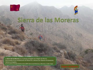 Álbum de fotografías

                                                         por user


La Sierra de las Moreras es un paisaje protegido de la Región de Murcia.
Está situada en las inmediaciones de Mazarrón y destaca por disponer de bastantes
hábitats protegidos.
Se encuentra incluido dentro de la ZEPA Sierra de Almenara, Moreras y Cabo Cope.

                                                                                    Región de Murcia
 