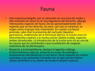 FaunaEste espacio protegido, por su ubicación en una zona de media y alta montaña así como en la ruta migratoria del Estrecho, alberga interesantes especies de fauna. De las aproximadamente 150 especies que se han descrito, las aves, con casi un centenar, se erigen como el grupo más importante. En cuanto a la fauna piscícola, cabe citar la presencia del cachuelo (Squaliuspyrenaicus), endemismo de la Península Ibérica; la trucha arco-iris (Oncorhynchusmykiss) y la trucha común (Salmo trutta), especies ambas introducidas. La introducción de la trucha arco-iris es una de las causas que ha contribuido a que la población de cangrejo autóctono de río disminuyera. Respecto a la herpetofauna, destaca la lagartija colilarga (Psammodromusalgirus), presente en zonas de pedregal y ampliamente distribuida por el territorio. Otras especies de interés asociadas a los ambientes húmedos son el sapo partero bético (Alytesdickhilleri) o la culebra de escalera (Elaphescalaris). 