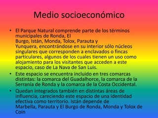 Medio socioeconómicoEl Parque Natural comprende parte de los términos municipales de Ronda, El Burgo, Istán, Monda, Tolox, Parauta y Yunquera, encontrándose en su interior sólo núcleos singulares que corresponden a enclavados o fincas particulares, algunos de los cuales tienen un uso como alojamiento para los visitantes que acceden a este espacio, caso de La Nava de San Luis. Este espacio se encuentra incluido en tres comarcas distintas: la comarca del Guadalhorce, la comarca de la Serranía de Ronda y la comarca de la Costa Occidental. Quedan integrados también en distintas áreas de influencia, careciendo este espacio de una identidad efectiva como territorio. Istán depende de Marbella, Parauta y El Burgo de Ronda, Monda y Tolox de Coín
