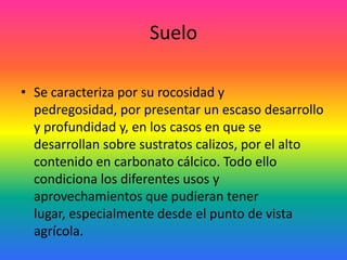 SueloSe caracteriza por su rocosidad y pedregosidad, por presentar un escaso desarrollo y profundidad y, en los casos en que se desarrollan sobre sustratos calizos, por el alto contenido en carbonato cálcico. Todo ello condiciona los diferentes usos y aprovechamientos que pudieran tener lugar, especialmente desde el punto de vista agrícola. 