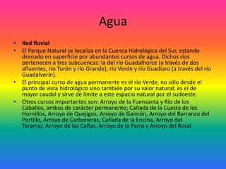AguaRed fluvialEl Parque Natural se localiza en la Cuenca Hidrológica del Sur, estando drenado en superficie por abundantes cursos de agua. Dichos ríos pertenecen a tres subcuencas: la del río Guadalhorce (a través de dos afluentes, río Turón y río Grande), río Verde y río Guadiaro (a través del río Guadalverín). El principal curso de agua permanente es el río Verde, no sólo desde el punto de vista hidrológico sino también por su valor natural; es el de mayor caudal y sirve de límite a este espacio natural por el sudoeste. Otros cursos importantes son: Arroyo de la Fuensanta y Río de los Caballos, ambos de carácter permanente; Cañada de la Cuesta de los Hornillos, Arroyo de Quejigos, Arroyo de Gaimón, Arroyo del Barranco del Portillo, Arroyo de Carboneras, Cañada de la Encina, Arroyo del Taramar, Arroyo de las Cañas, Arroyo de la Parra y Arroyo del Rosal
