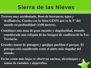 Sierra de las Nieves Terreno muy accidentado, lleno de barrancos, tajos y desfiladeros. Cuenta con la Sima GESM que es la 3 ª del mundo en profundidad (1100 metros). Constituye una zona de gran encanto y singularidad, estando considerada una reliquia de los bosques de coníferas de la Era Terciaria. Grandes masas de pinsapos y quejigos pueblan el parque. El pinsapo está considerado como el abeto más singular del mundo. En las zonas más bajas se observan encinas, alcornoques y masas de castaños y algarrobos. 